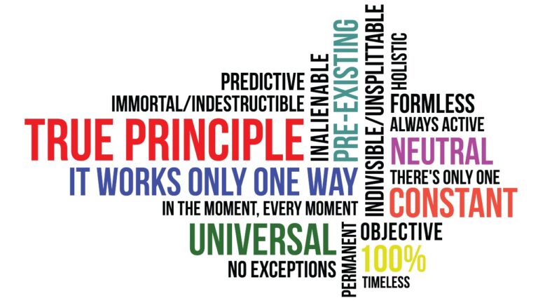 New Program: The Properties of a Universal Principle